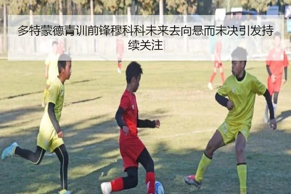 多特蒙德青训前锋穆科科未来去向悬而未决引发持续关注
